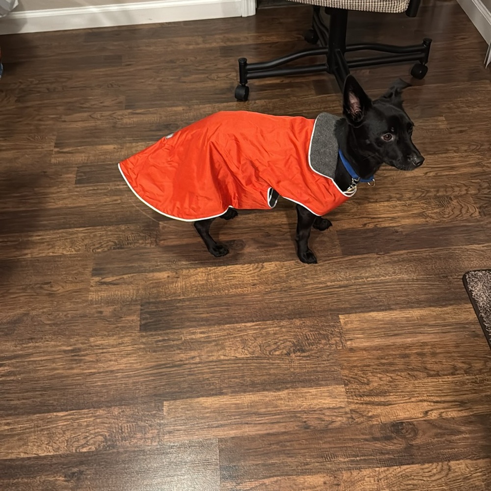 Teckelklub Dog Jacket Medium